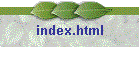 index.html